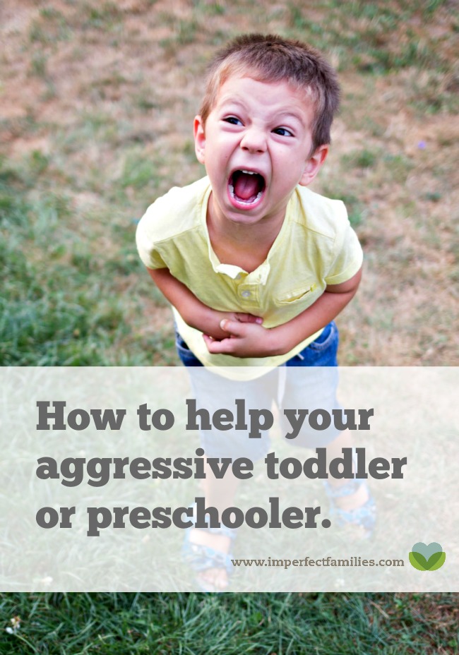 Is your Toddler or Preschooler Hitting, Kicking, Biting? These signs of aggression are actually cries for help. Use these 3 tips to help your child manage their big feelings.