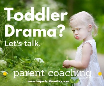 coaching for parents of toddlers 
