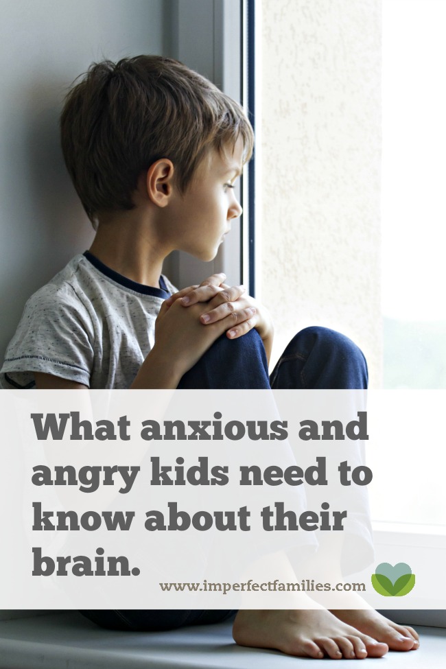 Empower your anxious or angry child by teaching them about their brain using this simple script!
