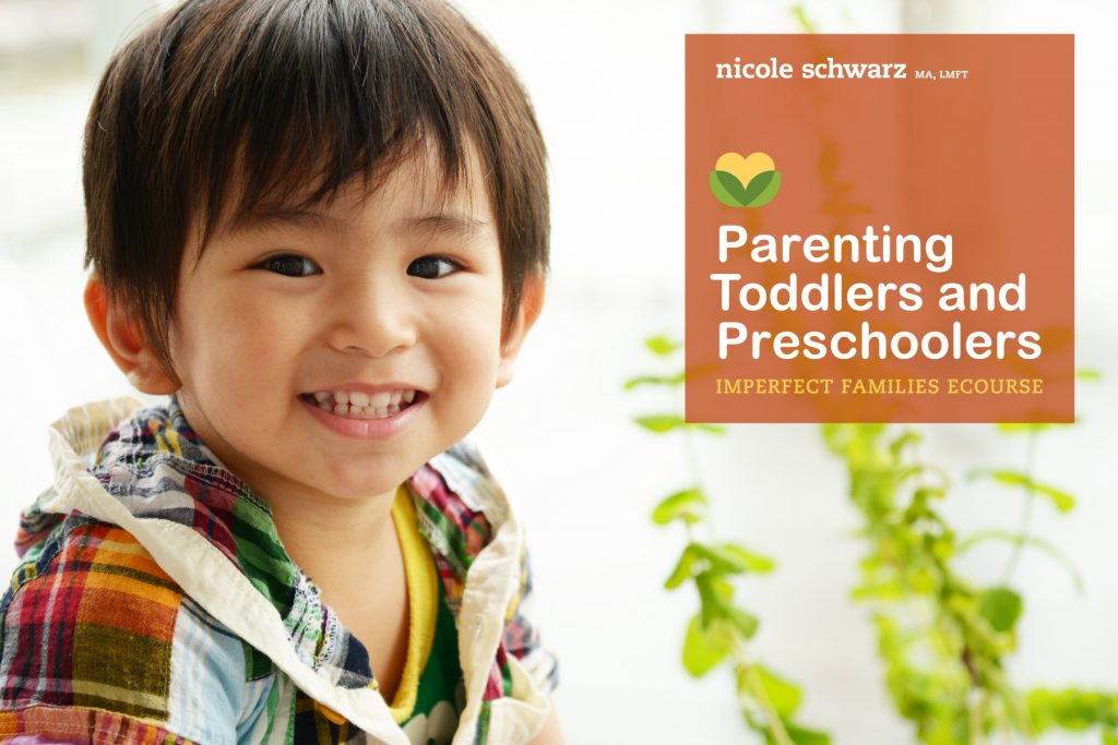 Join the next Parenting Toddlers and Preschoolers ecourse