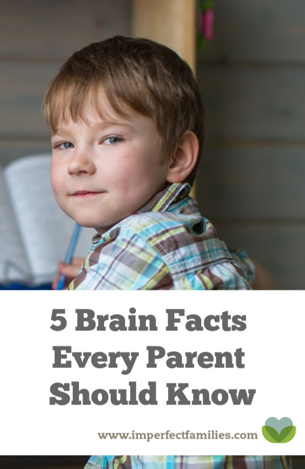 5 important brain facts every parent needs to know