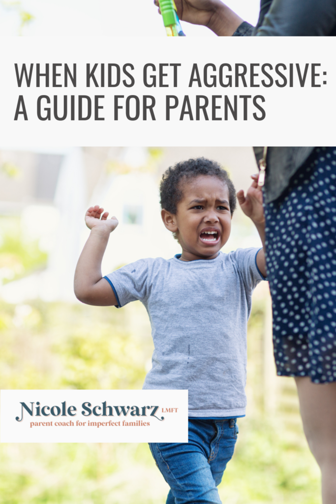 What to do when kids get aggressive, a guide for parents by Nicole Schwarz, parent coach